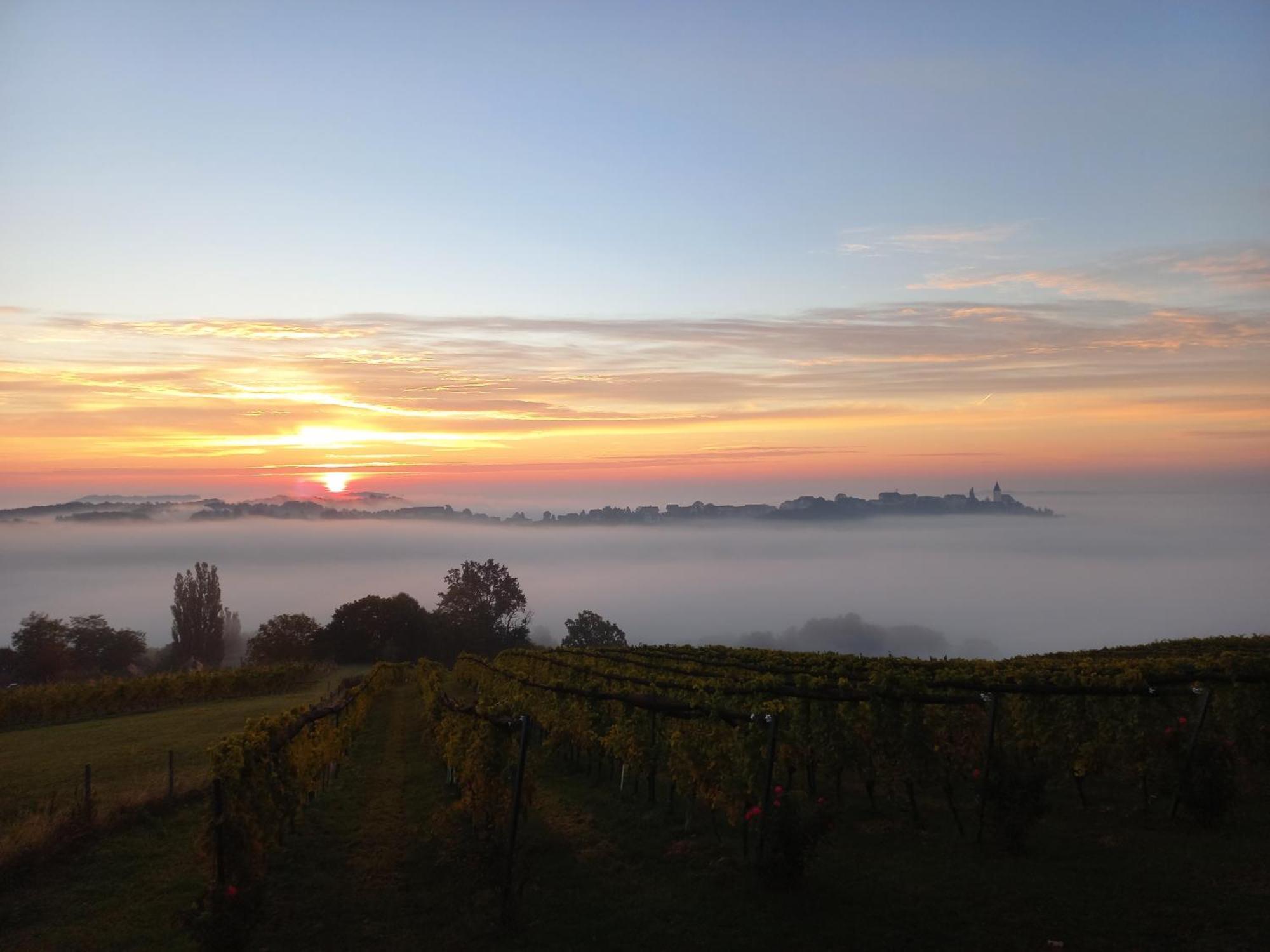 Winzerzimmer Scharl Sankt Anna am Aigen Εξωτερικό φωτογραφία