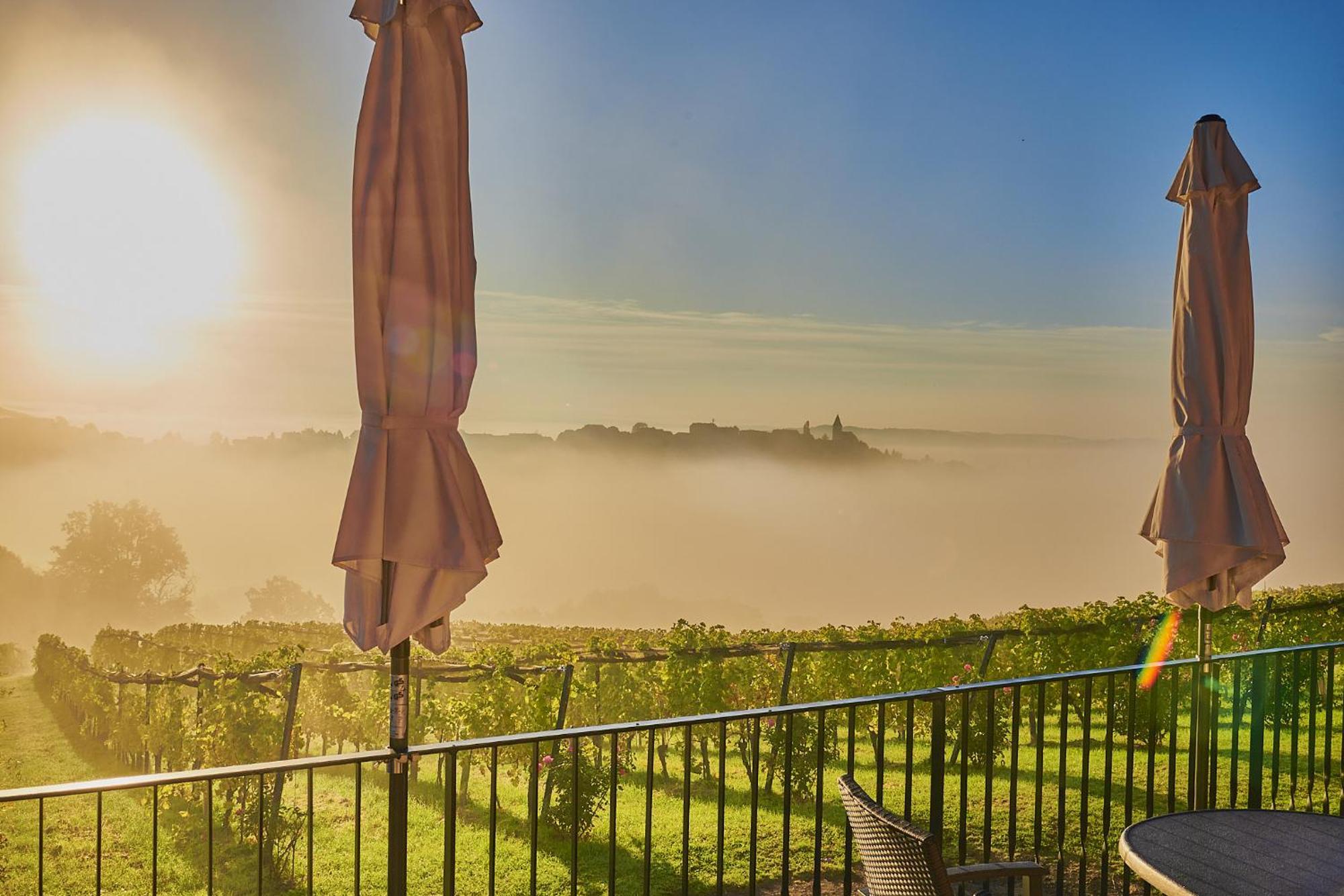 Winzerzimmer Scharl Sankt Anna am Aigen Εξωτερικό φωτογραφία